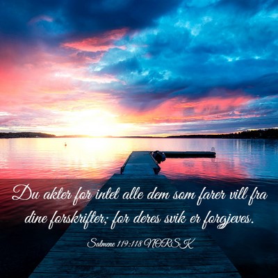 Picture 03 - Salmene 119:118 NORSK - Du akter for intet alle dem som farer vill fra - Bible Verse Picture