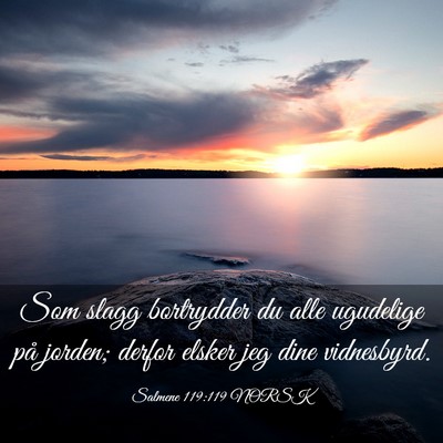 Picture 03 - Salmene 119:119 NORSK - Som slagg bortrydder du alle ugudelige på - Bible Verse Picture