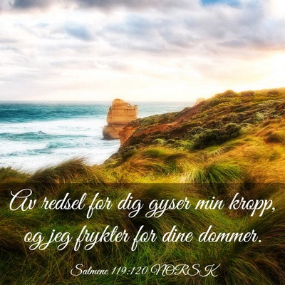 Picture 03 - Salmene 119:120 NORSK - Av redsel for dig gyser min kropp, og jeg frykter - Bible Verse Picture
