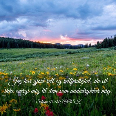 Picture 03 - Salmene 119:121 NORSK - Jeg har gjort rett og rettferdighet; du vil ikke - Bible Verse Picture