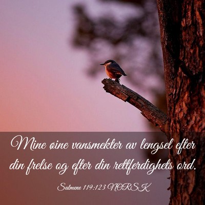 Picture 03 - Salmene 119:123 NORSK - Mine øine vansmekter av lengsel efter din frelse - Bible Verse Picture