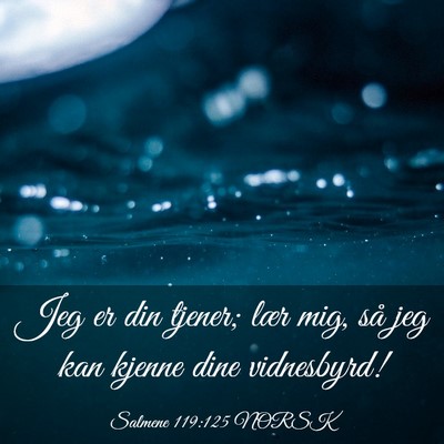 Picture 03 - Salmene 119:125 NORSK - Jeg er din tjener; lær mig, så jeg kan kjenne - Bible Verse Picture