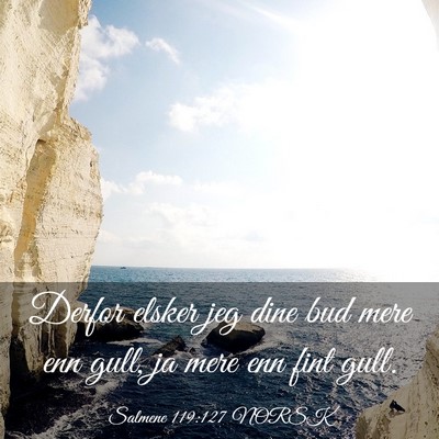 Picture 03 - Salmene 119:127 NORSK - Derfor elsker jeg dine bud mere enn gull, ja mere - Bible Verse Picture