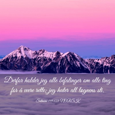 Picture 03 - Salmene 119:128 NORSK - Derfor holder jeg alle befalinger om alle ting - Bible Verse Picture