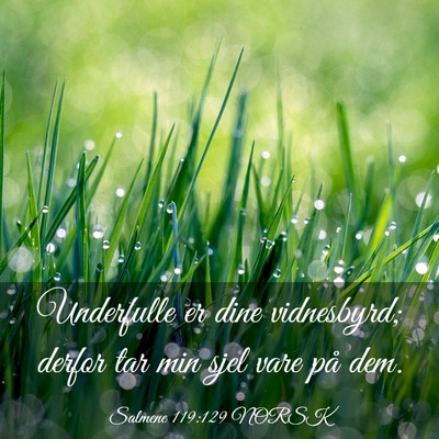 Picture 03 - Salmene 119:129 NORSK - Underfulle er dine vidnesbyrd; derfor tar min - Bible Verse Picture