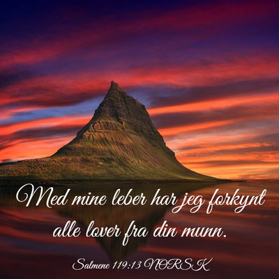 Picture 03 - Salmene 119:13 NORSK - Med mine leber har jeg forkynt alle lover fra din - Bible Verse Picture