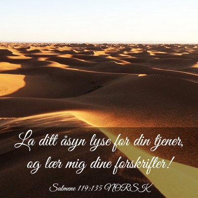 Picture 03 - Salmene 119:135 NORSK - La ditt åsyn lyse for din tjener, og lær mig - Bible Verse Picture