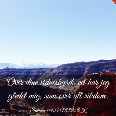 Picture 03 - Salmene 119:14 NORSK - Over dine vidnesbyrds vei har jeg gledet mig, som - Bible Verse Picture