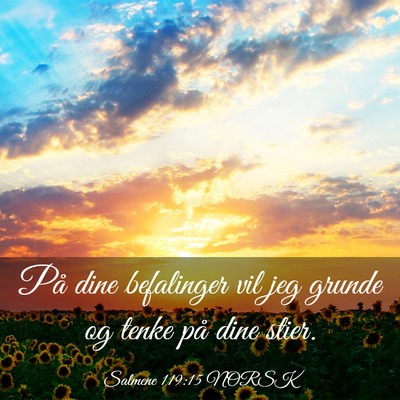 Picture 03 - Salmene 119:15 NORSK - På dine befalinger vil jeg grunde og tenke på - Bible Verse Picture