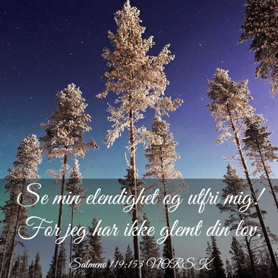 Picture 03 - Salmene 119:153 NORSK - Se min elendighet og utfri mig! For jeg har ikke - Bible Verse Picture