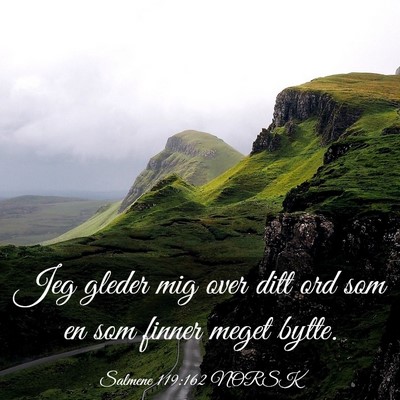 Picture 03 - Salmene 119:162 NORSK - Jeg gleder mig over ditt ord som en som finner - Bible Verse Picture