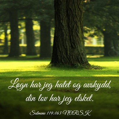 Picture 03 - Salmene 119:163 NORSK - Løgn har jeg hatet og avskydd, din lov har jeg - Bible Verse Picture