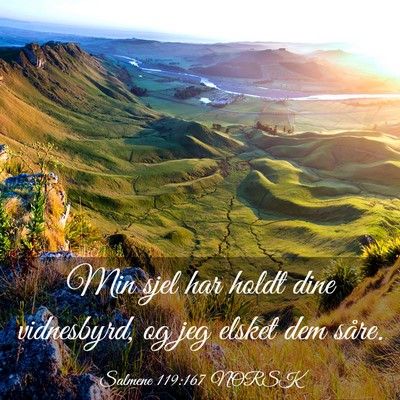Picture 03 - Salmene 119:167 NORSK - Min sjel har holdt dine vidnesbyrd, og jeg elsket - Bible Verse Picture