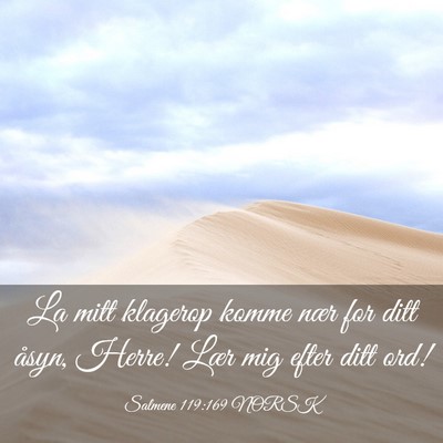 Picture 03 - Salmene 119:169 NORSK - La mitt klagerop komme nær for ditt åsyn, - Bible Verse Picture
