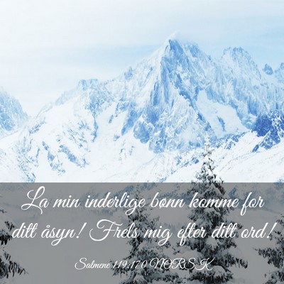 Picture 03 - Salmene 119:170 NORSK - La min inderlige bønn komme for ditt åsyn! - Bible Verse Picture