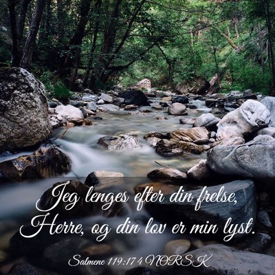 Picture 03 - Salmene 119:174 NORSK - Jeg lenges efter din frelse, Herre, og din lov er - Bible Verse Picture
