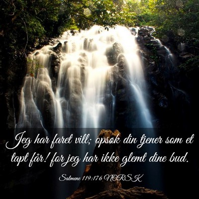 Picture 03 - Salmene 119:176 NORSK - Jeg har faret vill; opsøk din tjener som et tapt - Bible Verse Picture