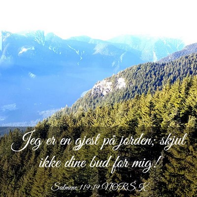 Picture 03 - Salmene 119:19 NORSK - Jeg er en gjest på jorden; skjul ikke dine bud - Bible Verse Picture