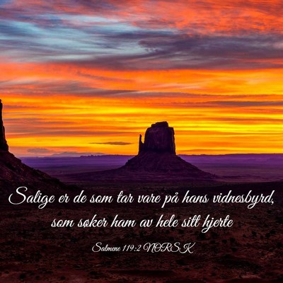 Picture 03 - Salmene 119:2 NORSK - Salige er de som tar vare på hans vidnesbyrd, - Bible Verse Picture