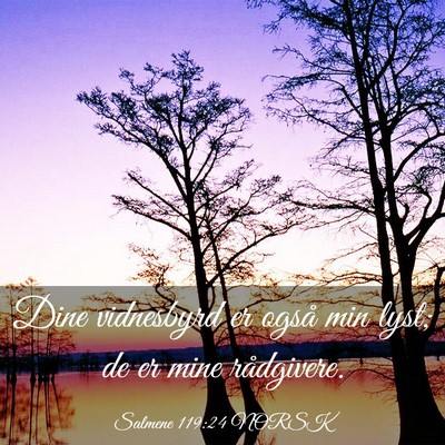 Picture 03 - Salmene 119:24 NORSK - Dine vidnesbyrd er også min lyst; de er mine - Bible Verse Picture