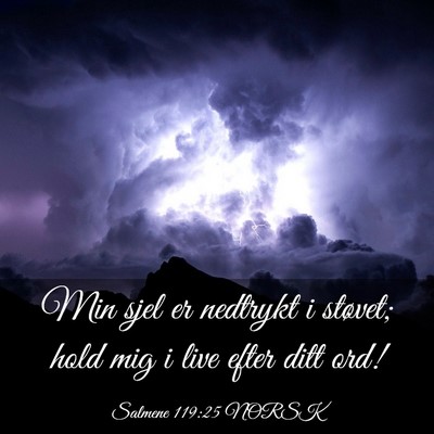 Picture 03 - Salmene 119:25 NORSK - Min sjel er nedtrykt i støvet; hold mig i live - Bible Verse Picture