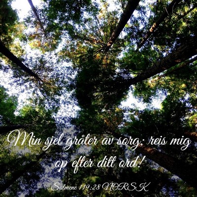 Picture 03 - Salmene 119:28 NORSK - Min sjel gråter av sorg; reis mig op efter ditt - Bible Verse Picture