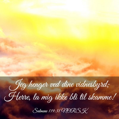 Picture 03 - Salmene 119:31 NORSK - Jeg henger ved dine vidnesbyrd; Herre, la mig - Bible Verse Picture