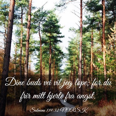 Picture 03 - Salmene 119:32 NORSK - Dine buds vei vil jeg løpe; for du frir mitt - Bible Verse Picture