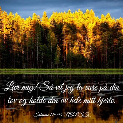 Picture 03 - Salmene 119:34 NORSK - Lær mig! Så vil jeg ta vare på din lov og - Bible Verse Picture