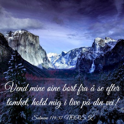 Picture 03 - Salmene 119:37 NORSK - Vend mine øine bort fra å se efter tomhet, hold - Bible Verse Picture