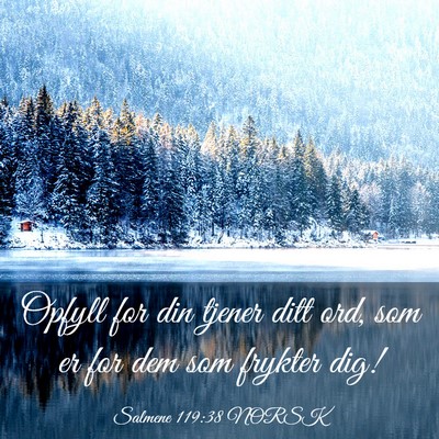 Picture 03 - Salmene 119:38 NORSK - Opfyll for din tjener ditt ord, som er for dem - Bible Verse Picture