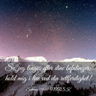 Picture 03 - Salmene 119:40 NORSK - Se, jeg lenges efter dine befalinger; hold mig i - Bible Verse Picture