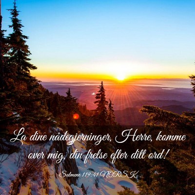 Picture 03 - Salmene 119:41 NORSK - La dine nådegjerninger, Herre, komme over mig, - Bible Verse Picture