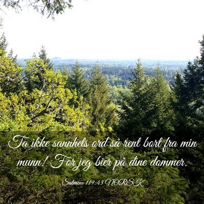Picture 03 - Salmene 119:43 NORSK - Ta ikke sannhets ord så rent bort fra min munn! - Bible Verse Picture