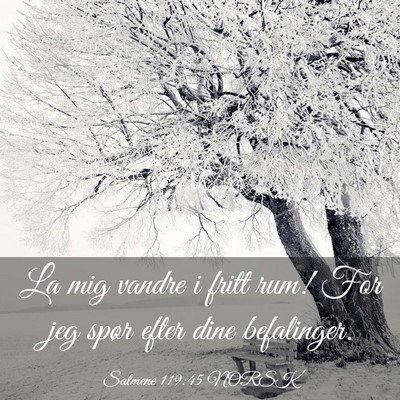 Picture 03 - Salmene 119:45 NORSK - La mig vandre i fritt rum! For jeg spør efter - Bible Verse Picture