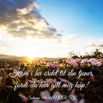 Picture 03 - Salmene 119:49 NORSK - Kom i hu ordet til din tjener, fordi du har gitt - Bible Verse Picture