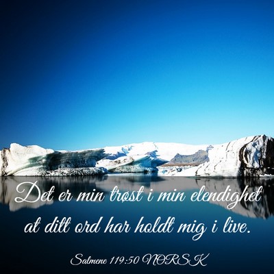 Picture 03 - Salmene 119:50 NORSK - Det er min trøst i min elendighet at ditt ord - Bible Verse Picture