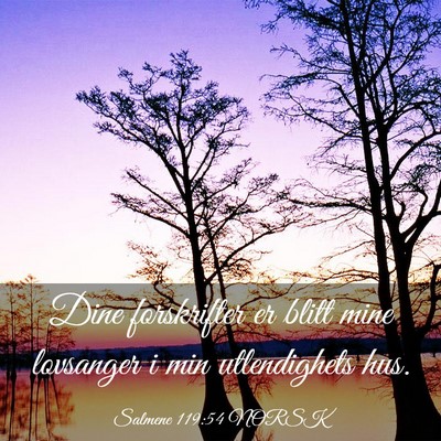 Picture 03 - Salmene 119:54 NORSK - Dine forskrifter er blitt mine lovsanger i min - Bible Verse Picture