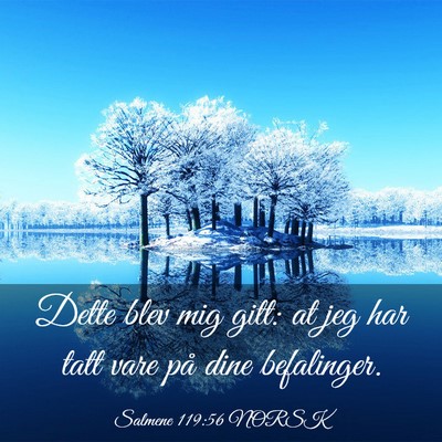 Picture 03 - Salmene 119:56 NORSK - Dette blev mig gitt: at jeg har tatt vare på - Bible Verse Picture