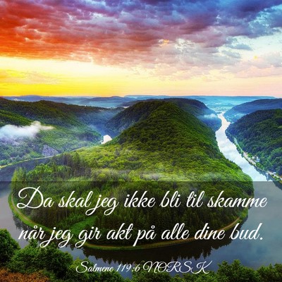 Picture 03 - Salmene 119:6 NORSK - Da skal jeg ikke bli til skamme når jeg gir akt - Bible Verse Picture