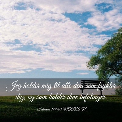 Picture 03 - Salmene 119:63 NORSK - Jeg holder mig til alle dem som frykter dig, og - Bible Verse Picture