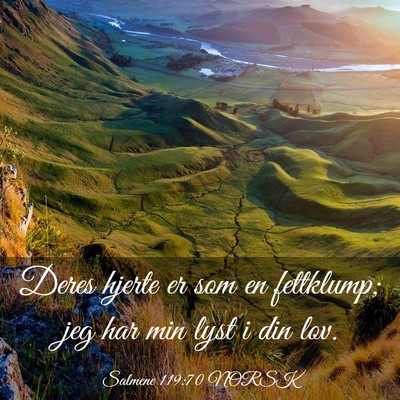 Picture 03 - Salmene 119:70 NORSK - Deres hjerte er som en fettklump; jeg har min - Bible Verse Picture