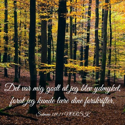 Picture 03 - Salmene 119:71 NORSK - Det var mig godt at jeg blev ydmyket, forat jeg - Bible Verse Picture