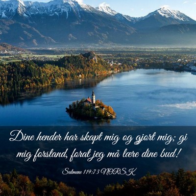 Picture 03 - Salmene 119:73 NORSK - Dine hender har skapt mig og gjort mig; gi mig - Bible Verse Picture