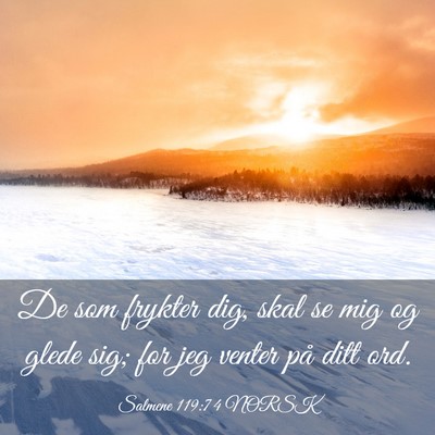 Picture 03 - Salmene 119:74 NORSK - De som frykter dig, skal se mig og glede sig; for - Bible Verse Picture