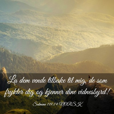 Picture 03 - Salmene 119:79 NORSK - La dem vende tilbake til mig, de som frykter dig - Bible Verse Picture