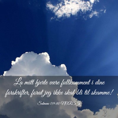 Picture 03 - Salmene 119:80 NORSK - La mitt hjerte være fullkomment i dine - Bible Verse Picture
