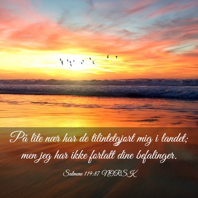Picture 03 - Salmene 119:87 NORSK - På lite nær har de tilintetgjort mig i landet; - Bible Verse Picture