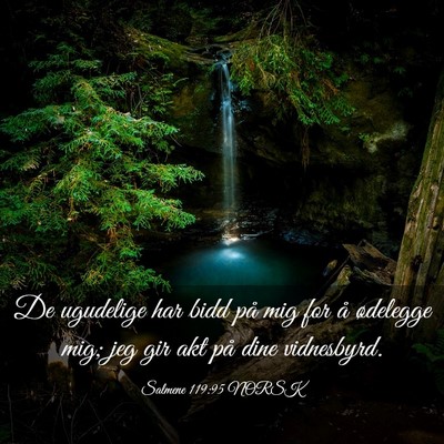 Picture 03 - Salmene 119:95 NORSK - De ugudelige har bidd på mig for å ødelegge - Bible Verse Picture