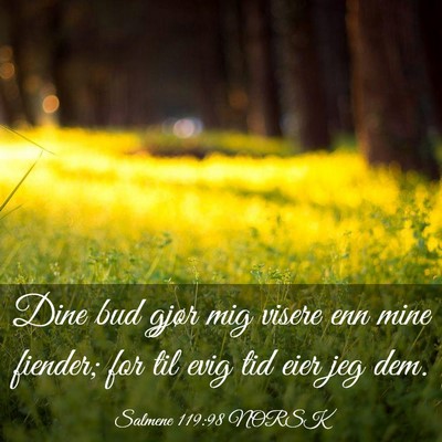 Picture 03 - Salmene 119:98 NORSK - Dine bud gjør mig visere enn mine fiender; for - Bible Verse Picture